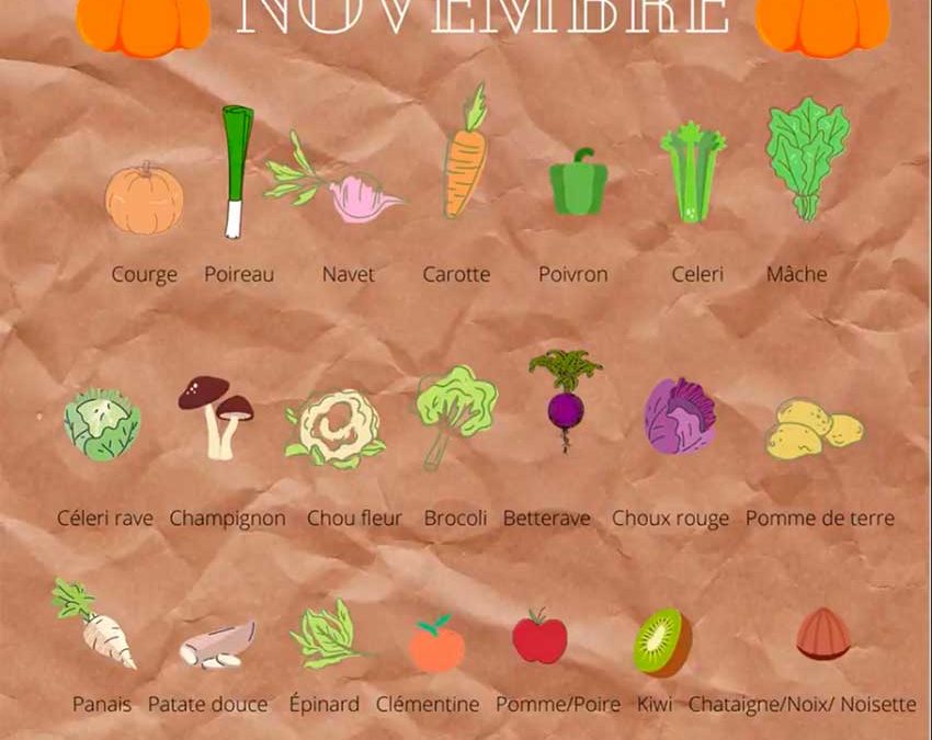 Fruits et légumes de saison – Novembre